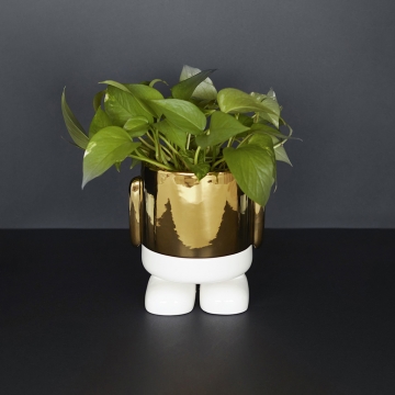 Flower Pot Mr. Standy Gold Edition