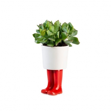Flower Pot Wellington Boots Red Small