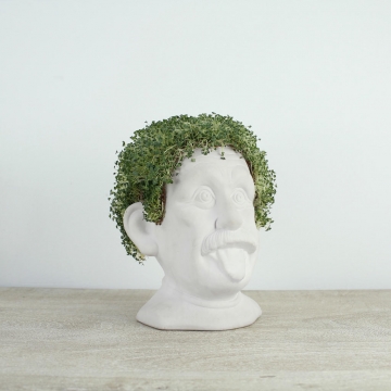 Flower Pot Genius Chia