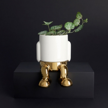 Γλάστρα Mr. Dangly Mini Gold Edition