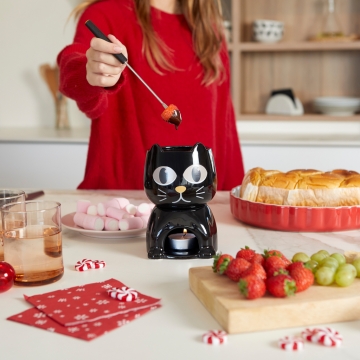Fondue Wake Cat 400 ml