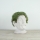 Γλάστρα Genius Chia