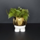 Flower Pot Mr. Standy Gold Edition