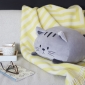 Cushion Kitty Gray