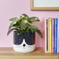 Flower Pot Kitty Black White