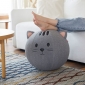 Puff Kitty Gray