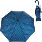 Umbrella Koi Fish Blue