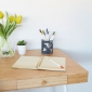 Pen Holder Globe